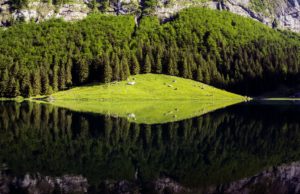 Seealpsee in der Schweiz